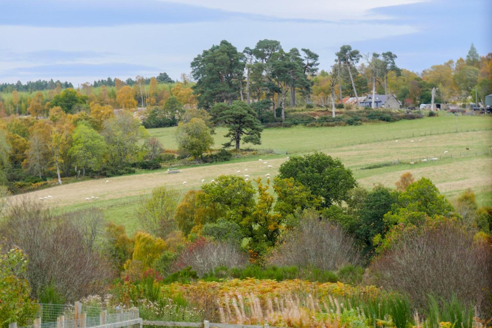 Glenview Chalet Park Inverness Dış mekan fotoğraf